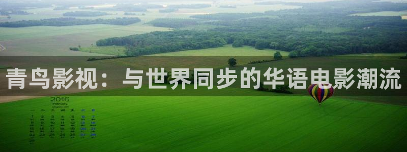 秋霞第九神马影院