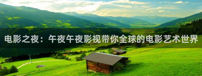 第九影院午夜理论影院：电影之夜：午夜午夜影视带你全球的电影艺术世界