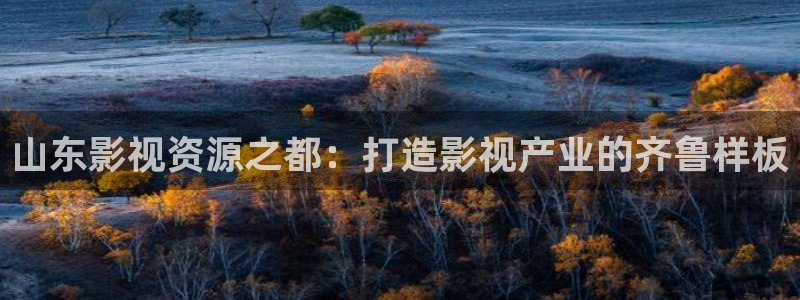 神马影院第九影院达达兔：山东影视资源之都：打造影视产业的齐鲁样板