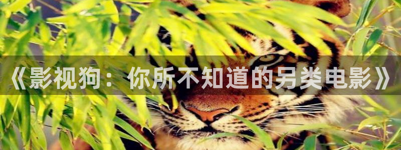 神马第九影院我不卡：《影视狗：你所不知道的另类电影》