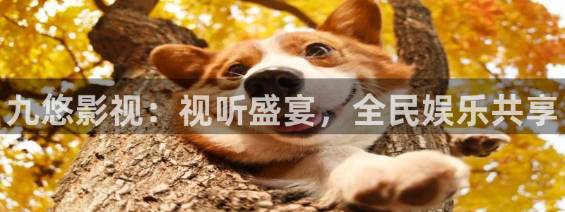 第九电影院最新电影免费观看：九悠影视：视听盛宴，全民娱乐共享
