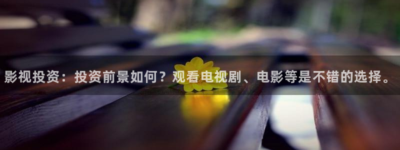 神马影院达达兔第九影院：影视投资：投资前景如何？观看电视剧、电影等是不错的选择。