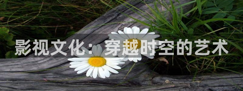 第九神马影院花花：影视文化：穿越时空的艺术